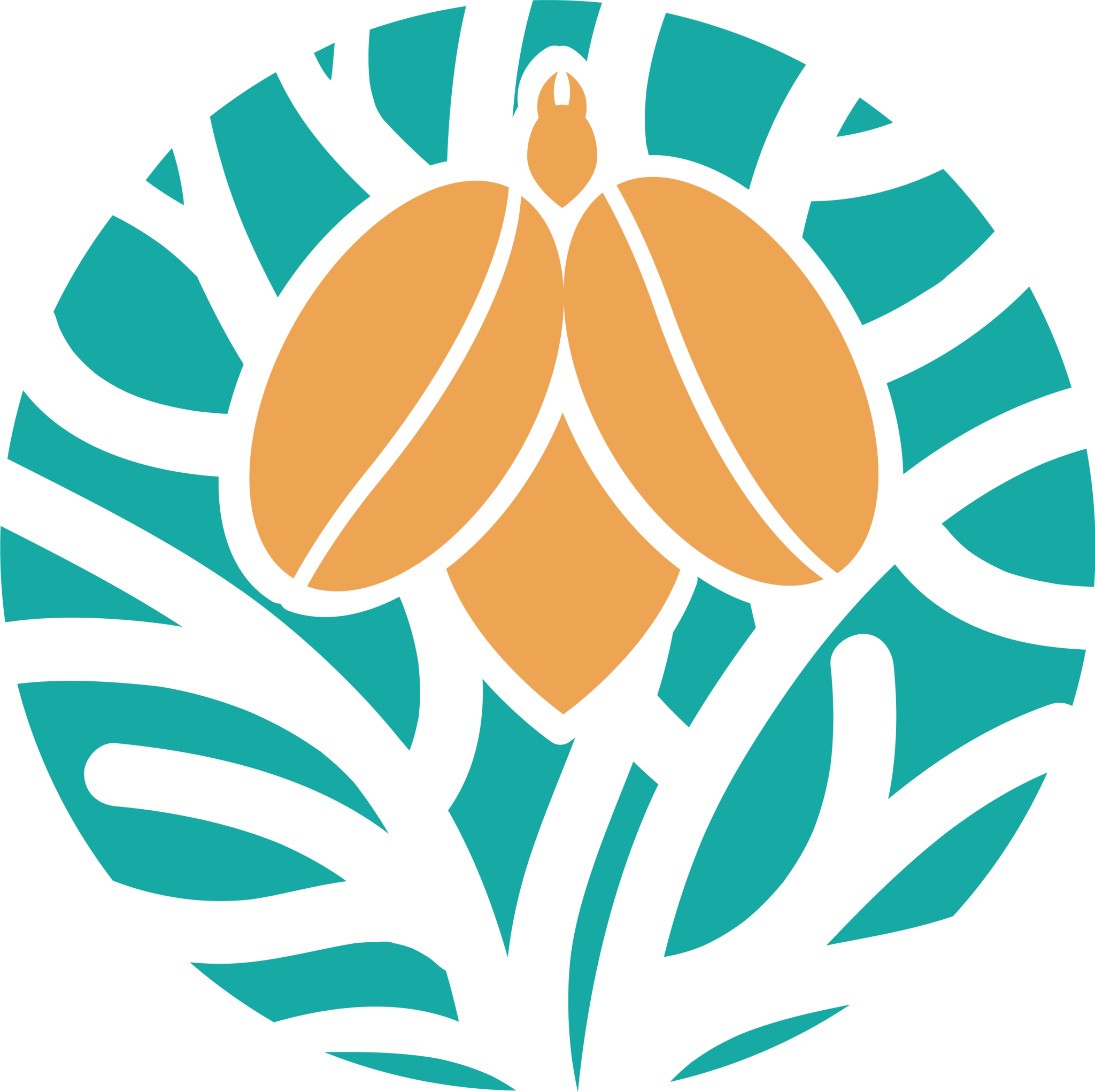 Micratena AC | Edible Insects in Mexico: Nutritional Benefits and ...